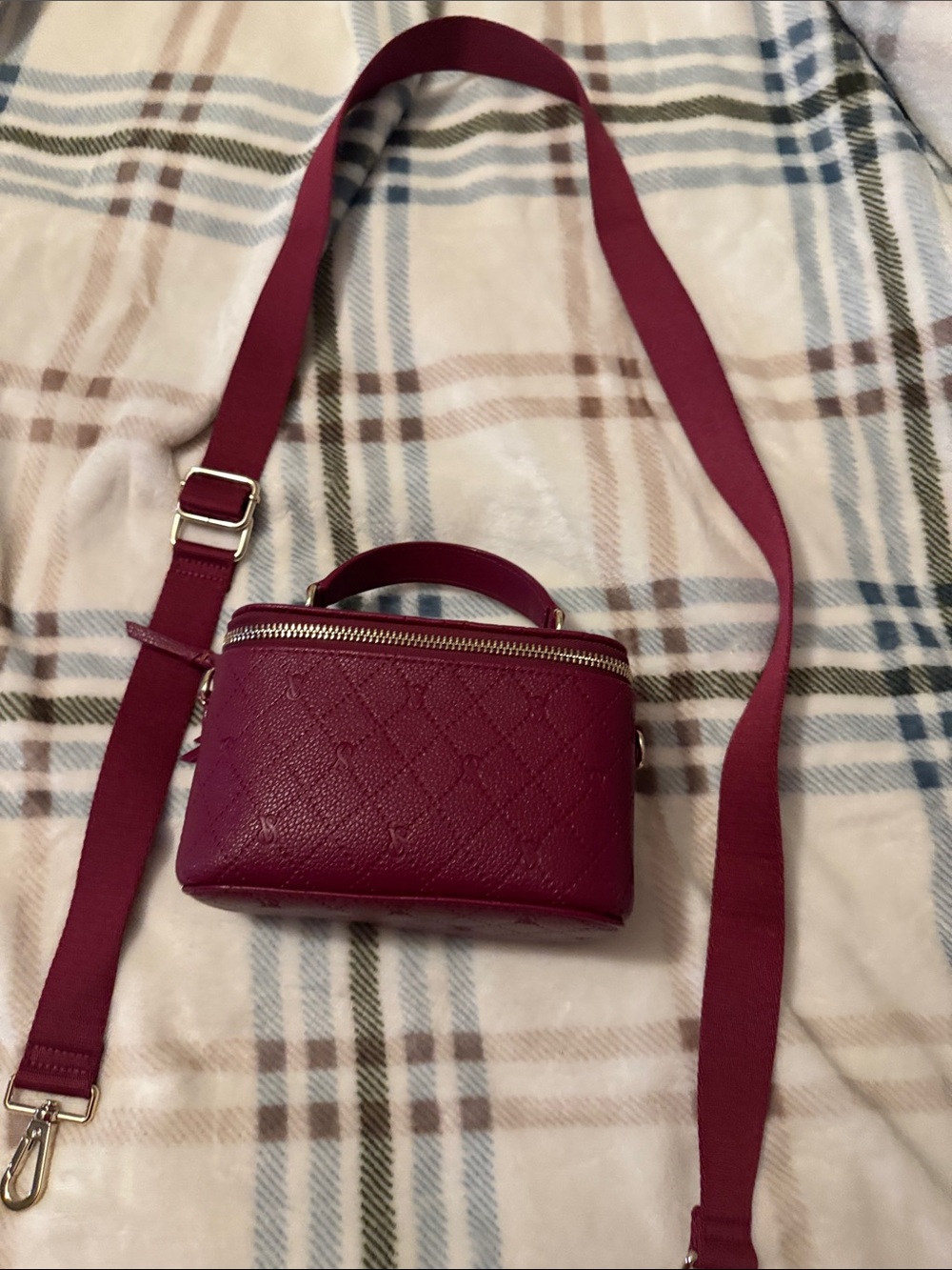 Victoria's Secret Quilted Mini Crossbody in Berry